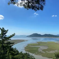 Suncheon Bay Reed Field - Suncheon