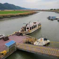 Suncheon Bay Reed Field - Suncheon