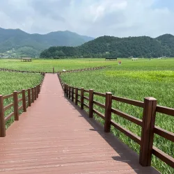 Suncheon Bay Wetland Reserve - Suncheon