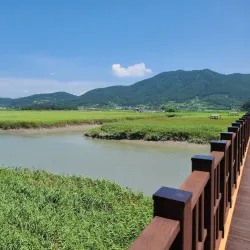 Suncheon Bay Wetland Reserve - Suncheon