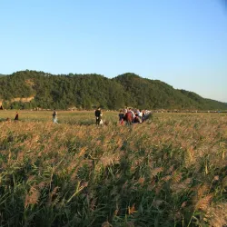 Suncheon Bay Wetland Reserve - Suncheon