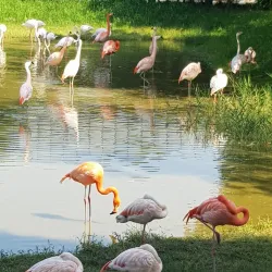 Suncheonman Bay National Garden - Suncheon