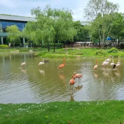 Suncheonman Bay National Garden - Suncheon