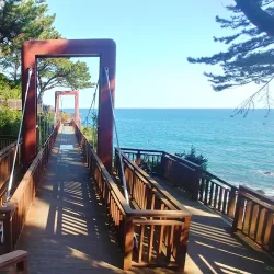 Dongbaek Island - Tongyeong-si