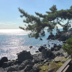 Dongbaek Island - Tongyeong-si