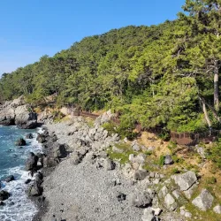 Dongbaek Island - Tongyeong-si