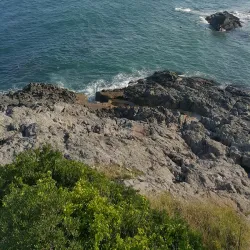 Dongbaek Island - Tongyeong-si