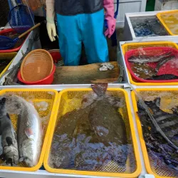 Tongyeong Jungang Market - Tongyeong-si