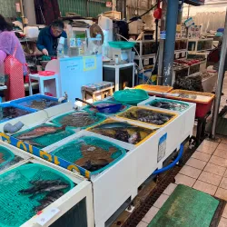 Tongyeong Jungang Market - Tongyeong-si