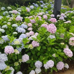 Yi Sun-sin Park and Turtle Ship Replica - Tongyeong-si