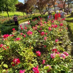 Ganeungcheon Stream - Uijeongbu