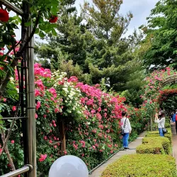 Ganeungcheon Stream - Uijeongbu