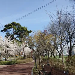 Ganeungcheon Stream - Uijeongbu