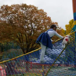 Jangheung Art Park - Uijeongbu