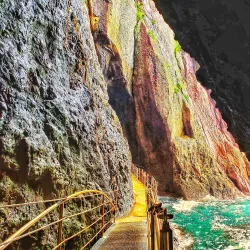 Haengnam Coastal Walking Path - Ulleung Island