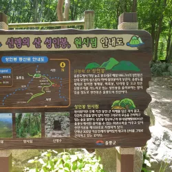 Nari Basin - Ulleung Island