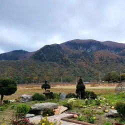 Nari Village - Ulleung Island