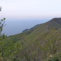 Seonginbong Trail - Ulleung Island