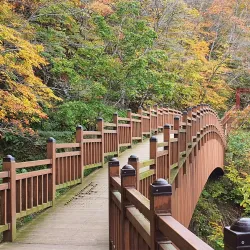Seonginbong Trail - Ulleung Island