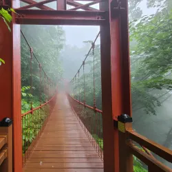 Seonginbong Trail - Ulleung Island