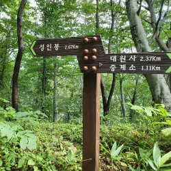 Seonginbong Trail - Ulleung Island