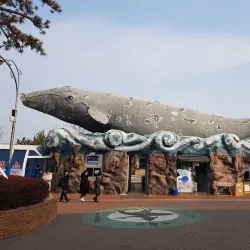 Jangsaengpo Whale Museum - Ulsan