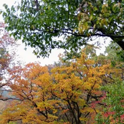 Seoknamsa Temple - Ulsan