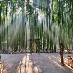 Taehwa River Grand Park - Ulsan