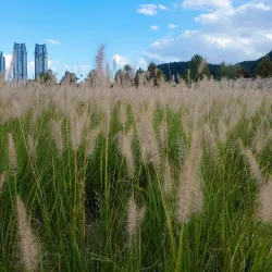 Taehwa River Grand Park - Ulsan