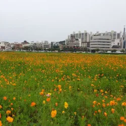 Taehwa River Grand Park - Ulsan