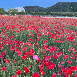 Taehwa River Grand Park - Ulsan
