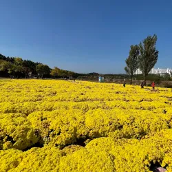 Taehwa River Grand Park - Ulsan