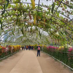 Taehwa River Grand Park - Ulsan