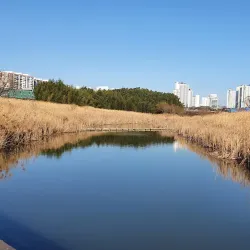 Taehwa River Grand Park - Ulsan