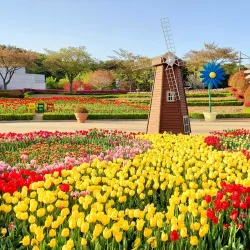 Ulsan Grand Park - Ulsan