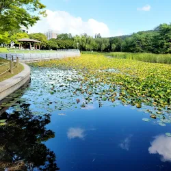 Ulsan Grand Park - Ulsan
