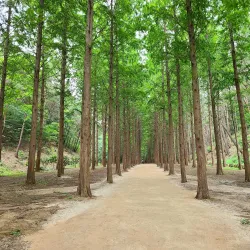 Ulsan Grand Park - Ulsan