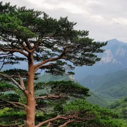 Ulsanbawi Rock - Ulsan