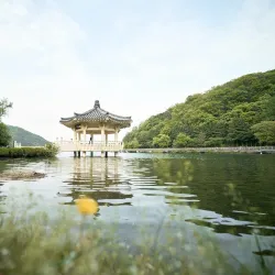 Gumiho Park - Waegwan