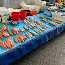 Waegwan Traditional Market - Waegwan