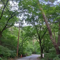 Guryongsa Temple - Wonju