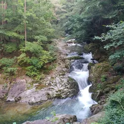 Heungjeongsa Temple - Wonju