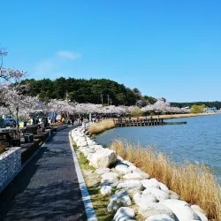 Seongpo Lake - Wonju