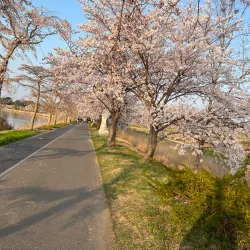 Seongpo Lake - Wonju