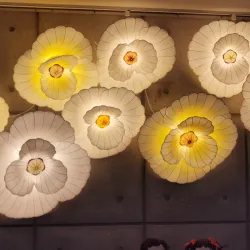 Wonju Hanji Museum - Wonju