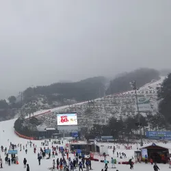 Wonju Ski Resort - Wonju