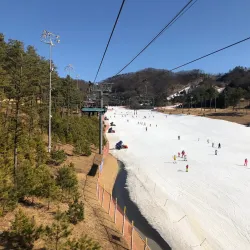 Wonju Ski Resort - Wonju