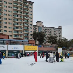 Wonju Ski Resort - Wonju