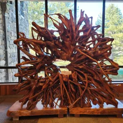 Gwangneung Arboretum - Yangju-si