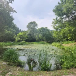 Gwangneung Arboretum - Yangju-si